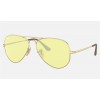 Ray Ban Aviator Metal II RB3689 Gold Frame Yellow With Light Red Photochromic Evolve Lens