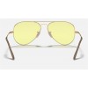 Ray Ban Aviator Metal II RB3689 Gold Frame Yellow With Light Red Photochromic Evolve Lens
