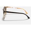 Ray Ban Clubmaster Collection RB3016 Brown Tortoise