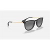 Ray Ban Erik Collection Online Exclusives RB3016 Grey Black