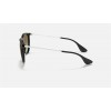 Ray Ban Erika Classic RB4171 And Black Frame Brown Lens