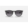 Ray Ban Erika Classic RB4171 And Black Frame Grey Lens