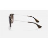 Ray Ban Erika Classic RB4171 And Blue Frame Brown Lens