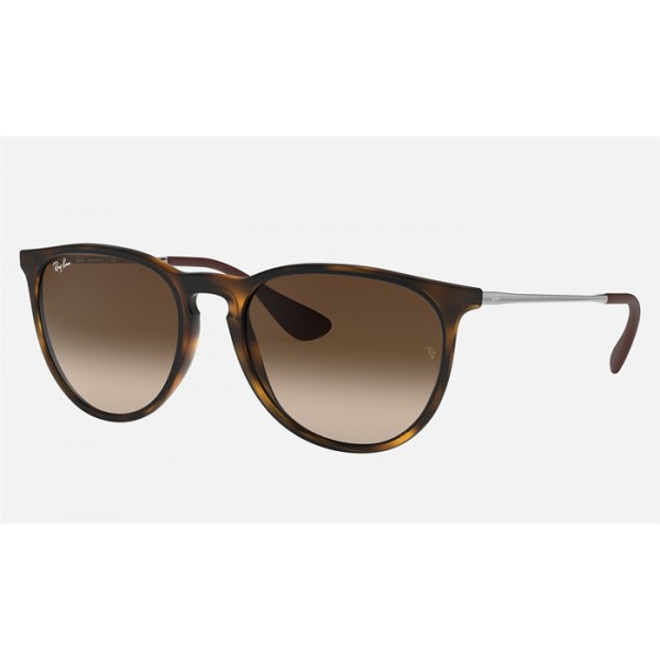 Ray Ban Erika Classic RB4171 And Tortoise Frame Brown Lens