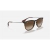 Ray Ban Erika Classic RB4171 And Tortoise Frame Brown Lens