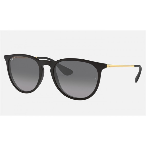 Ray Ban Erika Collection RB4171 Polarized And Black Frame Black Lens