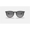 Ray Ban Erika Collection RB4171 Polarized And Black Frame Black Lens