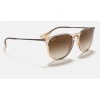 Ray Ban Erika Color Mix Low Bridge Fit RB4171 And Shiny Transparent Brown Frame Brown Lens