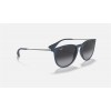 Ray Ban Erika Color Mix RB4171 And Blue Frame Grey Lens