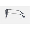 Ray Ban Erika Color Mix RB4171 And Blue Frame Grey Lens