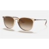 Ray Ban Erika Color Mix RB4171 And Shiny Transparent Brown Frame Brown Lens