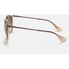 Ray Ban Erika Color Mix RB4171 And Shiny Transparent Brown Frame Brown Lens