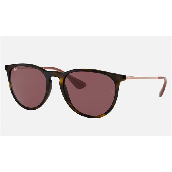 Ray Ban Erika Color Mix RB4171 Classic And Tortoise Frame Dark Violet Classic Lens
