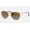 Ray Ban Erika Metal RB3539 Polarized And Gold Frame Brown Lens