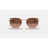 Ray Ban Hexagonal Flat Lenses RB3548 And Bronze-Copper Frame Brown Lens