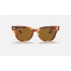 Ray Ban Meteor Classic RB2168 Striped Havana Frame Brown Solid Lens