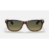 Ray Ban New Wayfarer Classic RB2132 Polarized Gradient And Tortoise Frame Blue With Green Gradient Lens