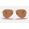 Ray Ban RB3689 Brown Polarized Classic B-15 Gold