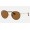 Ray Ban Round Craft RB3475 Classic B-15 And Brown Frame Brown Classic B-15 Lens