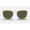Ray Ban Round Frank RB3857 Polarized Classic G-15 And Shiny Gold Frame Green Classic G-15 Lens