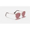 Ray Ban Round Metal Collection RB3447 Classic And Bronze-Copper Frame Violet Classic Lens