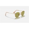 Ray Ban Round Washed Evolve RB3447 Photochromic Evolve And Gold Frame Green Photochromic Evolve Lens
