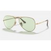 Ray Ban Solid Evolve RB3689 Green Photochromic Evolve Gold