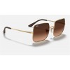 Ray Ban Square Collection RB1971 Brown Gold