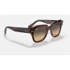Ray Ban State Street RB2186 And Pink Tortiose Frame Brown With Blue Lens