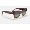 Ray Ban State Street RB2186 And Tortoise Frame Green With Blue Lens