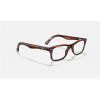 Ray Ban The Timeless RB5228 Demo Lens And Striped Havana Frame Clear Lens