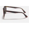 Ray Ban Wayfarer II Collection RB2185 Grey Classic Transparent Red